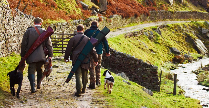 Sécurité à la chasse en Corse : des mesures strictes et une collaboration inédite