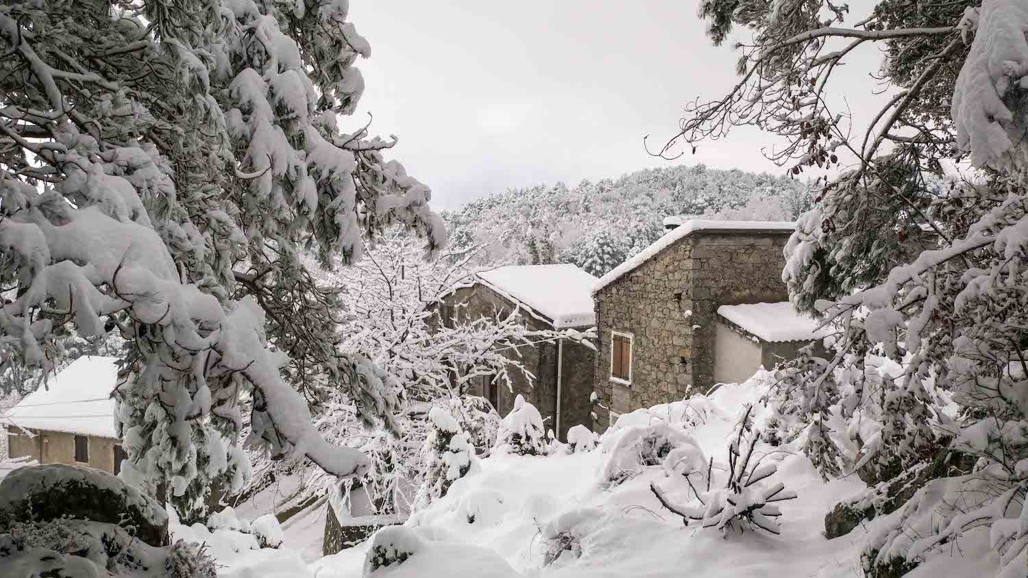 Corsica Se Prépare À Une Tempête Hivernale Avec Des Chutes De Neige Et Des Températures Très Basses