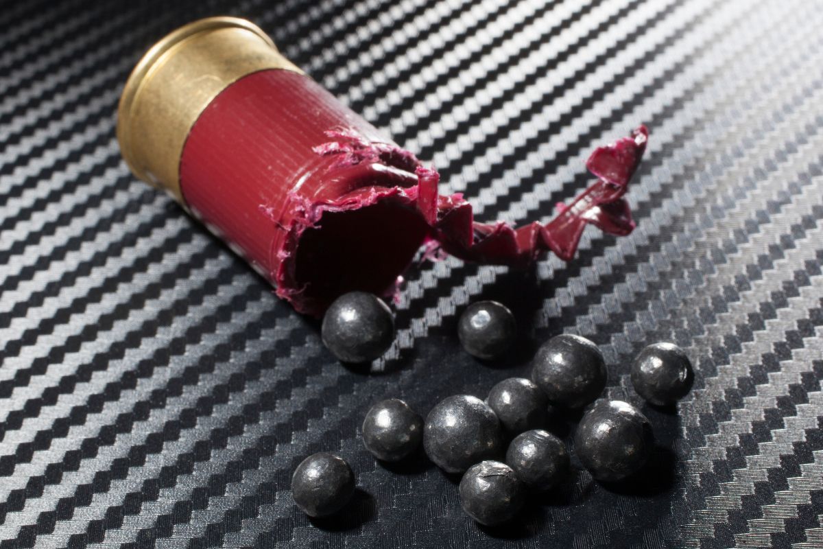 Une innovation en chasse : les tests de la nouvelle munition anti-ricochet